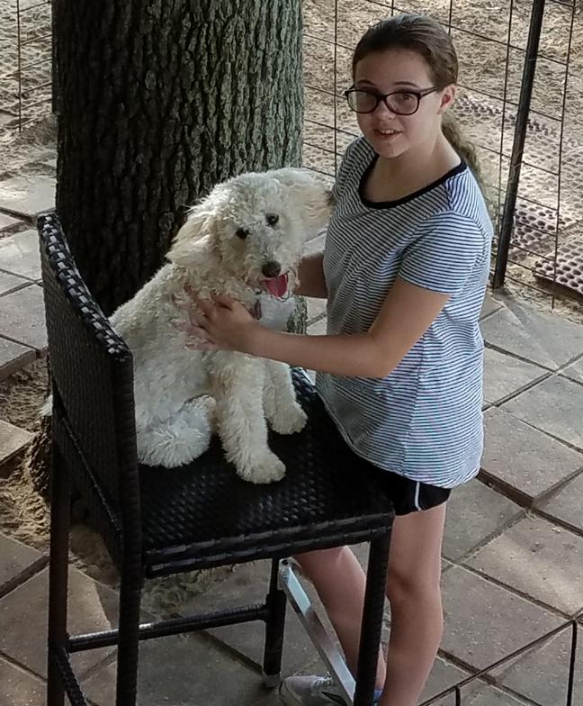 Della Shorman, K9 Leisure Consultant