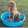 Jake, one of our first guests, loves the PLAY pools!