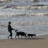 Judy, with Chug and June, enjoy a walk on a Galveston Beach.